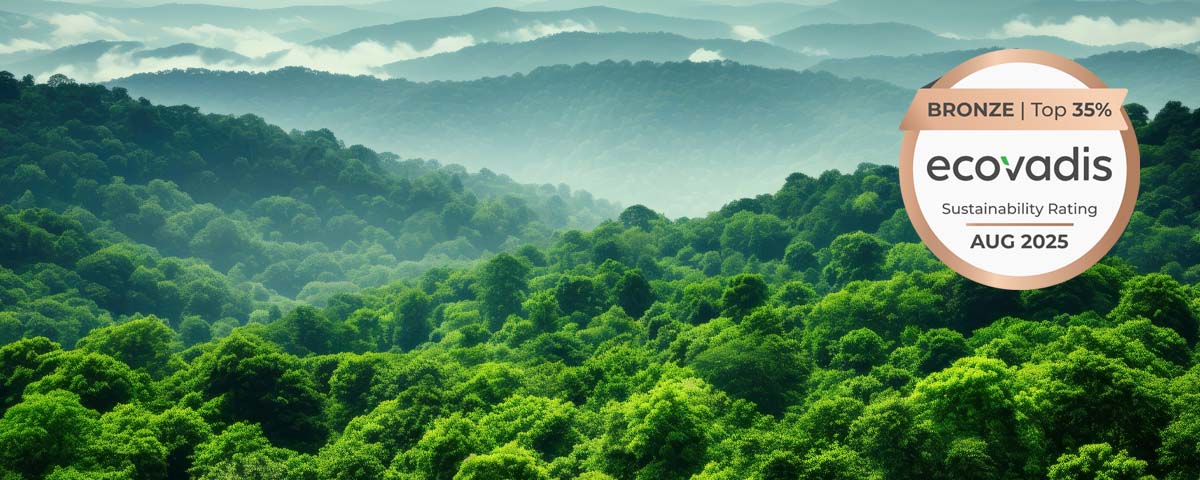 Steg för steg mot en hållbar framtid