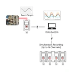 TandD MCR-4V 4 kanals spänningslogger